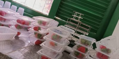 IMG_20240205_143211