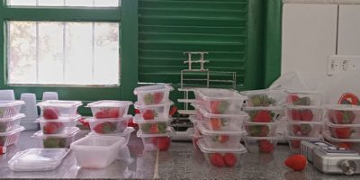 IMG_20240205_143227