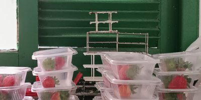 IMG_20240205_143230