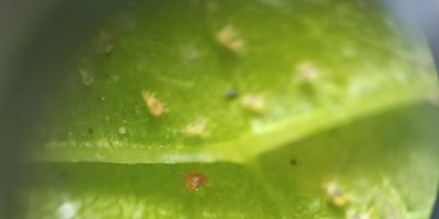 IMG_20240207_151240