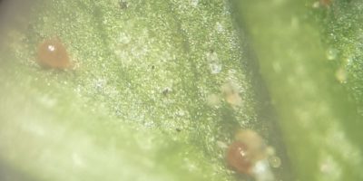 IMG_20240207_160637