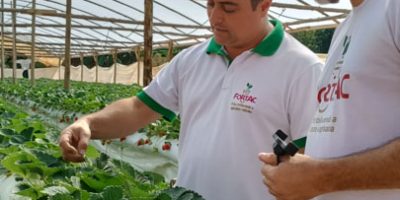 IMG_20240905_141234