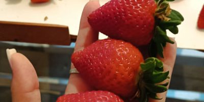 IMG_20240905_164304