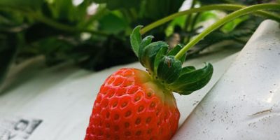 IMG_20240906_093855