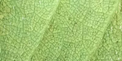 IMG_20240906_095035