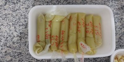 gengibre congelado